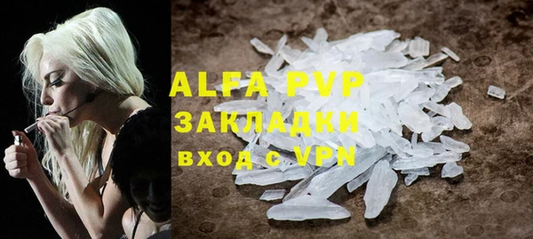 apvp Каменка