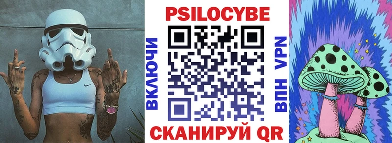 Псилоцибиновые грибы Psilocybe  blacksprut ссылки  Саяногорск 