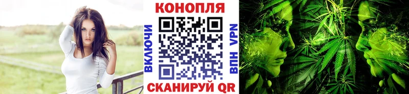 Бошки Шишки ГИДРОПОН  магазин продажи   Саяногорск 